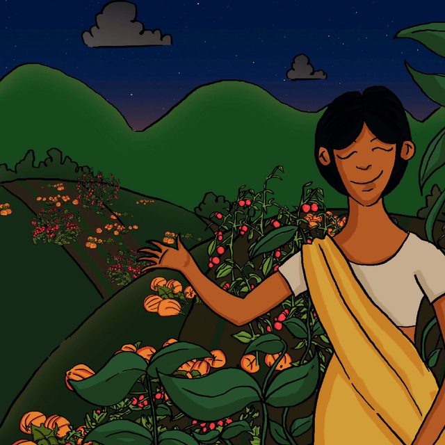 The farmer smiling among her healthy crops.