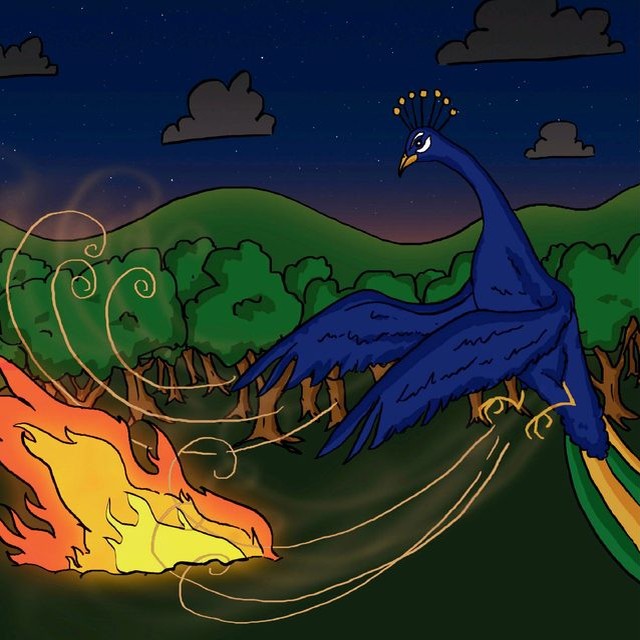 A peacock fanning soil onto a forest fire.